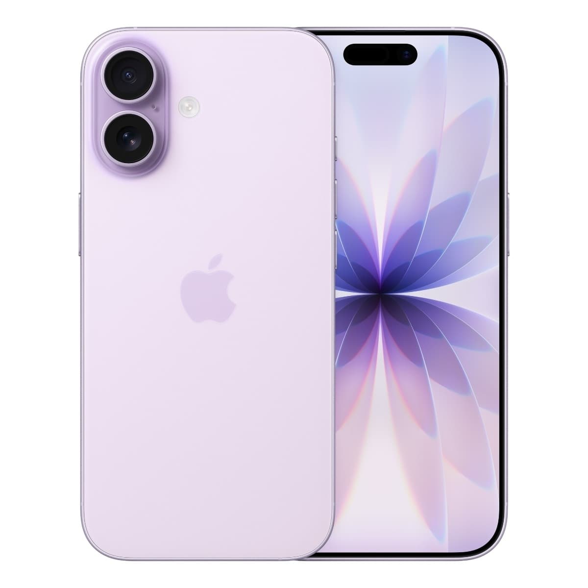 lavendel